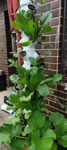 WhatsApp Image 2025-06-10 at 13.47.57_c9419348