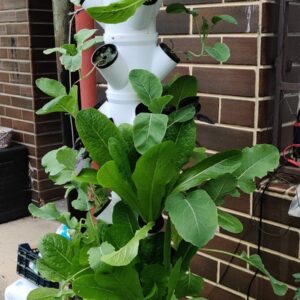 WhatsApp Image 2025-06-10 at 13.47.57_c9419348